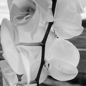 Meet your Posher, Kendall